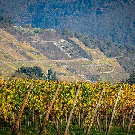 Gaestehaus Bausch * メーリング