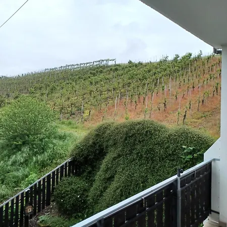 Gaestehaus Bausch ゲストハウス メーリング