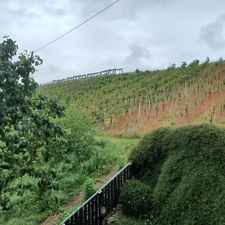 بيت ضيافة Gaestehaus Bausch ميهرينغ