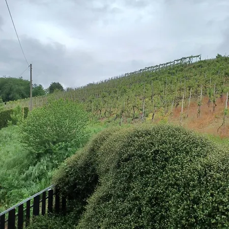 Gaestehaus Bausch * ميهرينغ