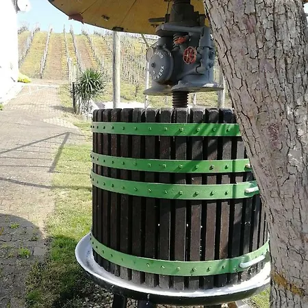 بيت ضيافة Gaestehaus Bausch *