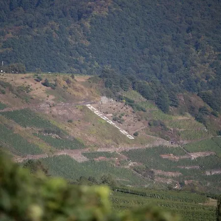 Gaestehaus Bausch ゲストハウス メーリング