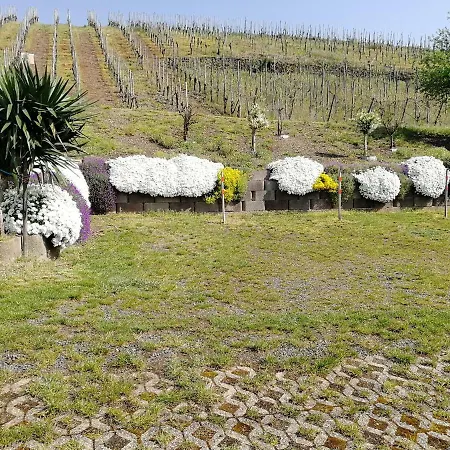 Gaestehaus Bausch بيت ضيافة ميهرينغ