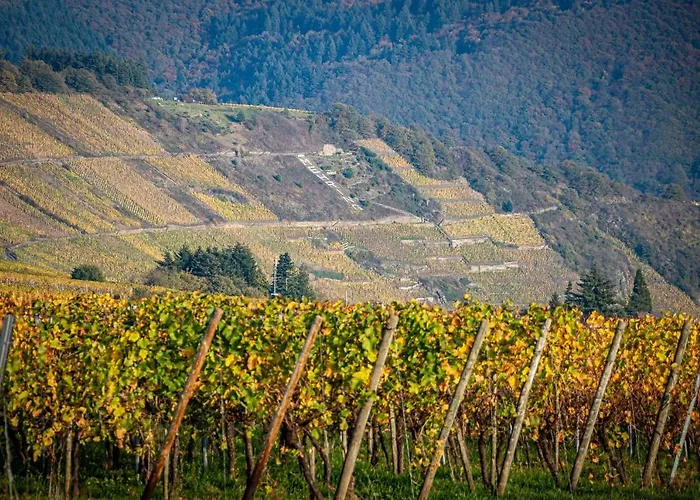 Gaestehaus Bausch * ميهرينغ