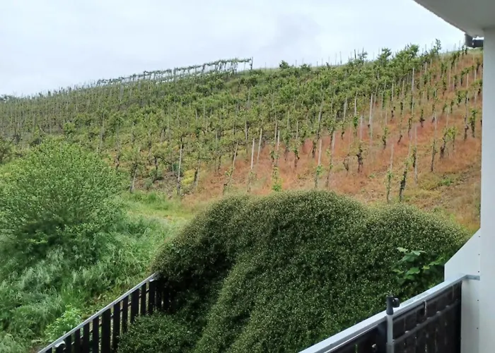 Gaestehaus Bausch بيت ضيافة ميهرينغ