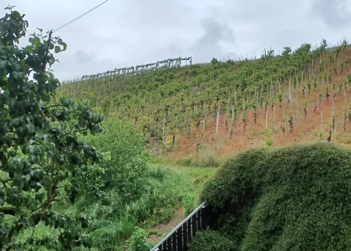 بيت ضيافة Gaestehaus Bausch ميهرينغ