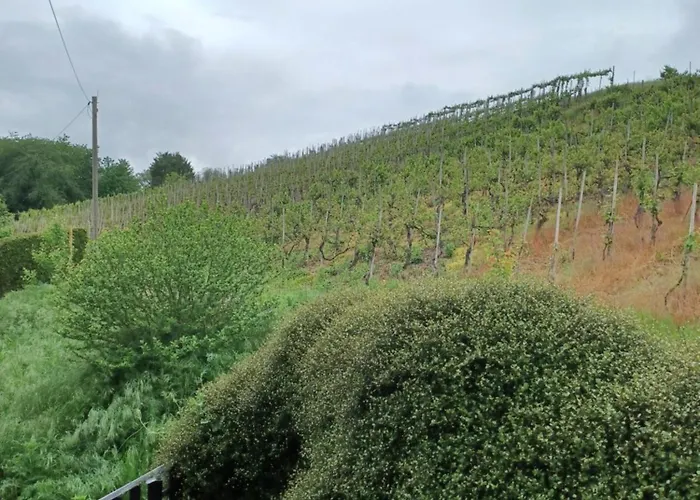 Gaestehaus Bausch * ميهرينغ