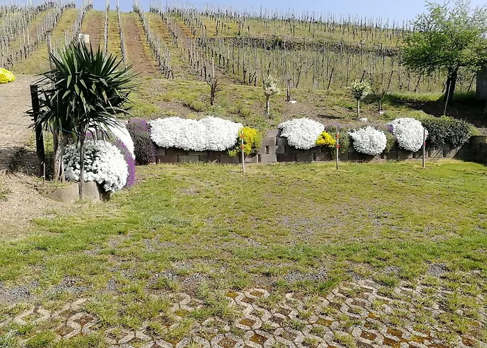 Gaestehaus Bausch بيت ضيافة ميهرينغ